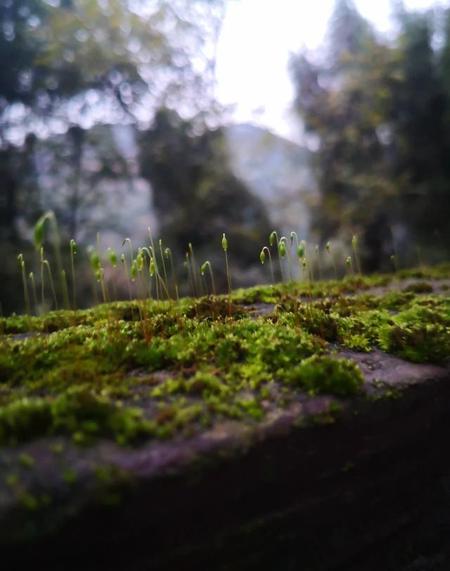 离婚后和初恋再婚会幸福吗(离婚后和初恋再婚)