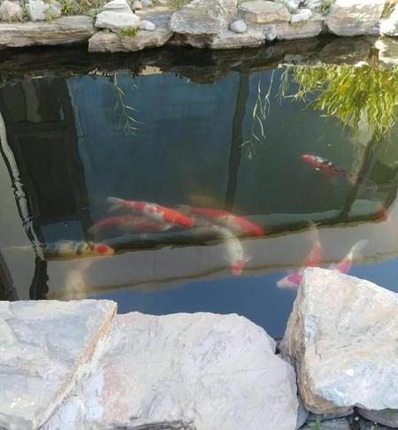 学生时代谈恋爱会走到最后吗(学生时代的爱情能走到最后吗)