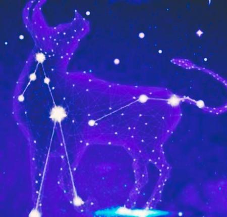 哪个星座最自由(十二星座谁最自由)