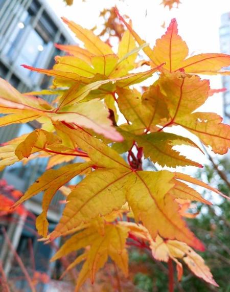 卑微爱一个人的下场