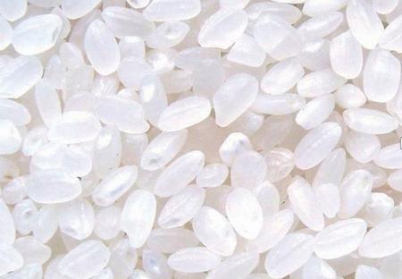 米里长虫子怎么办(大米长虫子了怎么办)