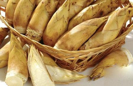 竹笋和哪些菜一起炒(竹笋和什么一起吃最好)