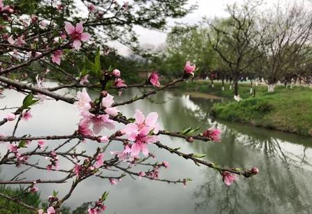 烟花三月下江南是什么意思啊(烟花三月下江南诗句)