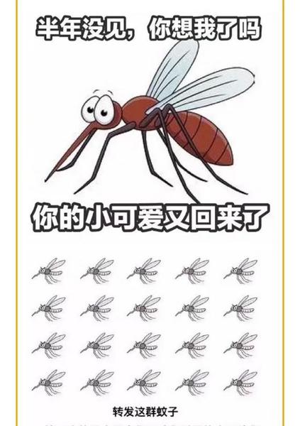 婚外情真的没有好的结果吗(婚外情的结局真的都不好吗)