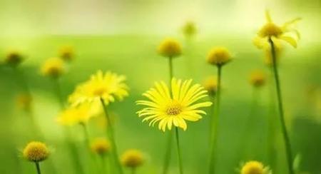 女人结婚了为什么都后悔了(那些裸婚的人后来都怎么样了)