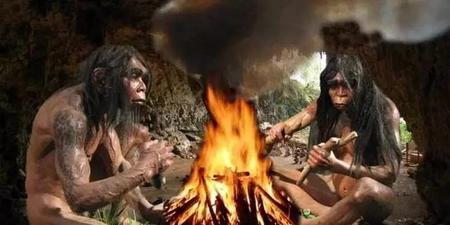 人类为什么会成为地球的主宰