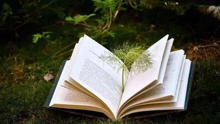 有什么结局悲惨的小说(结局悲惨的虐心小说)