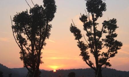 爱上自己的已婚上司怎么办