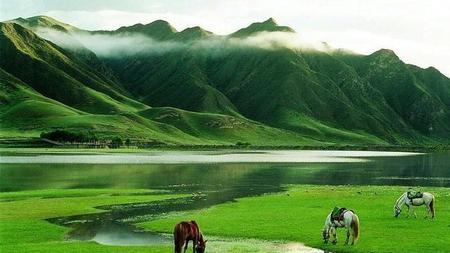 管理者如何提升团队氛围(乘势而上顺势而为因势利导造势而深)