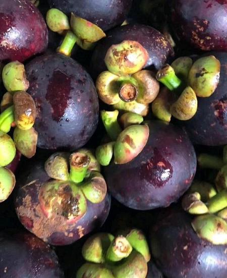 山竹要怎么挑选