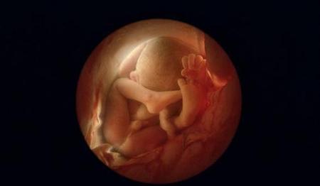 人生有很多难忘的第一次(写一篇作文难忘的第一次)