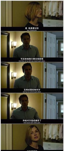 消失的爱人电影介绍(电影消失的爱人剧情介绍)