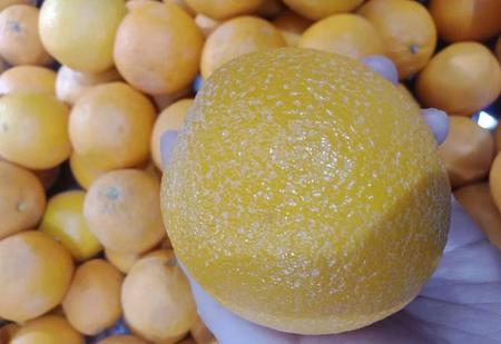 常吃橙子对身体有什么好处和坏处(爱媛果冻橙营养成分)