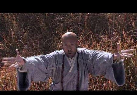 天龙八部扫地僧原著里边描述