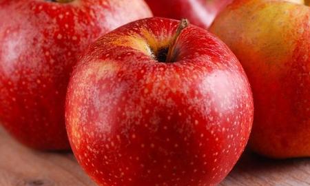 嘎啦苹果最新品种