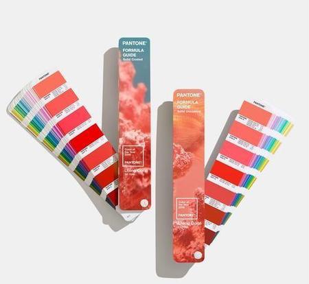 今年流行什么衣服女款2022春款(工装裤风格)