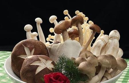 蘑菇有没有营养价值(蘑菇有维生素吗)