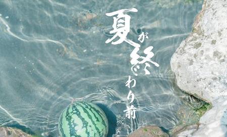 少年派结局是什么意思(少年的你最后结局没看懂)