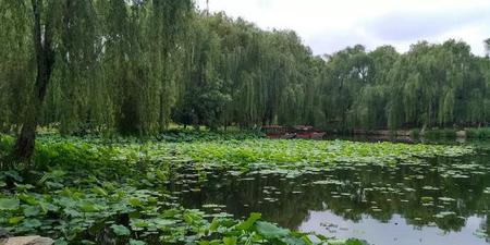 租房与房东住一栋有什么不好(租房和房东住一起好吗)