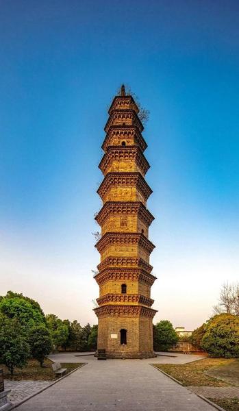 卫州吁弑桓公而立