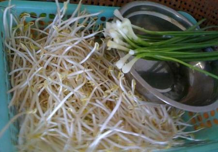 如何炒豆芽好吃(炒绿豆芽放姜吗)