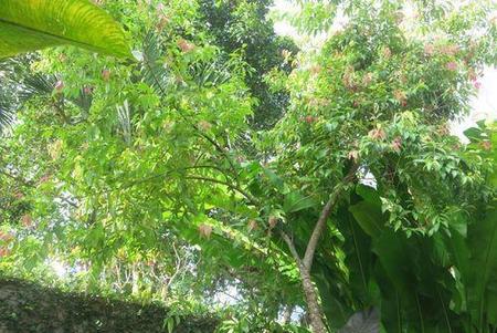 广西简称是桂吗(你知道书的历史吗)