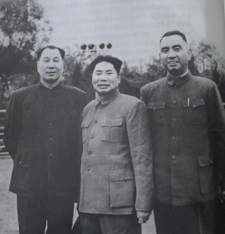 历史上的杨姓名人