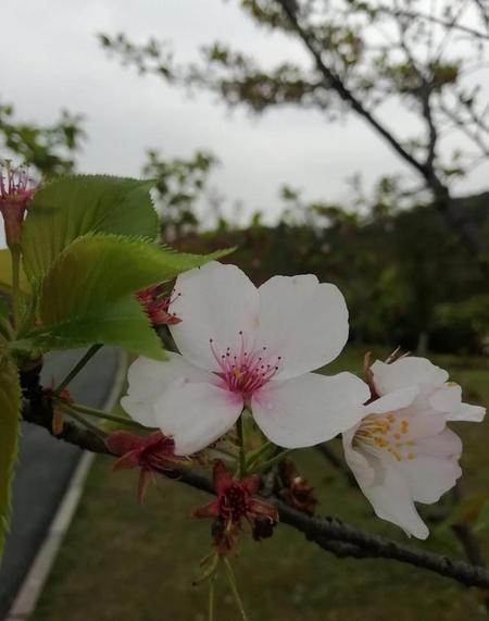 洗尽铅华是什么意思