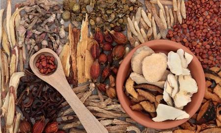 野党参的功效与作用及食用方法