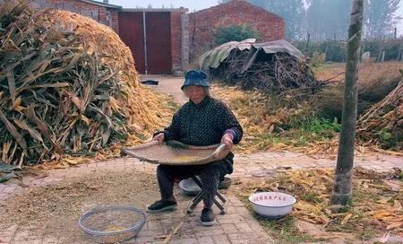 新四害是什么 广场舞