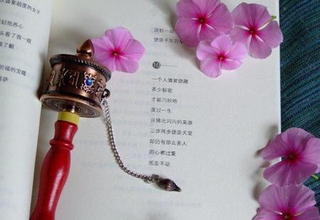 宁负如来,不负卿