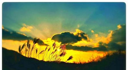 怎么样才能成为一名摄影师(怎么成为一个专业的摄影师)