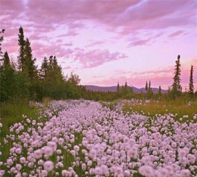 为什么中国人就喜欢宫斗戏(为什么宫斗剧那么多人看)