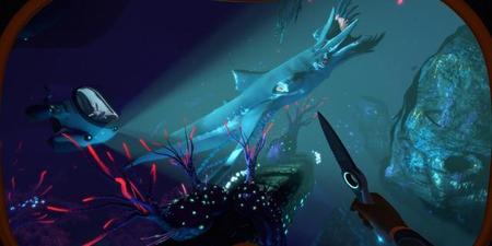 steam上的深海迷航叫什么(深海迷航是steam的吗)