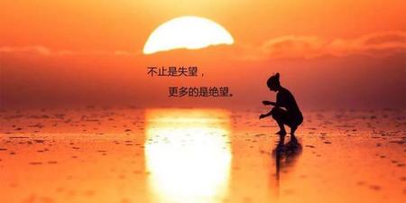 对一份感情绝望到终点的说说(绝望失望的心情短语)