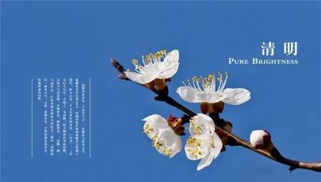 我知道的风俗清明节(清明节除了扫墓,还有哪些风俗?)