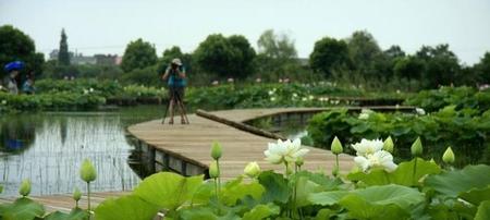 什么是真正的高贵卑贱