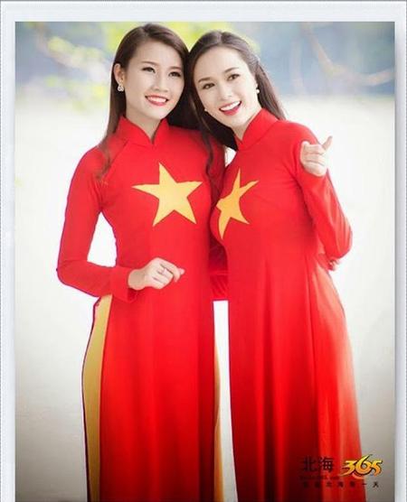 越南国旗的含义(越南的国旗是由什么颜色组成的)