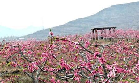 桃花源记结尾刘子骥的作用(刘子骥 找到桃花源了)
