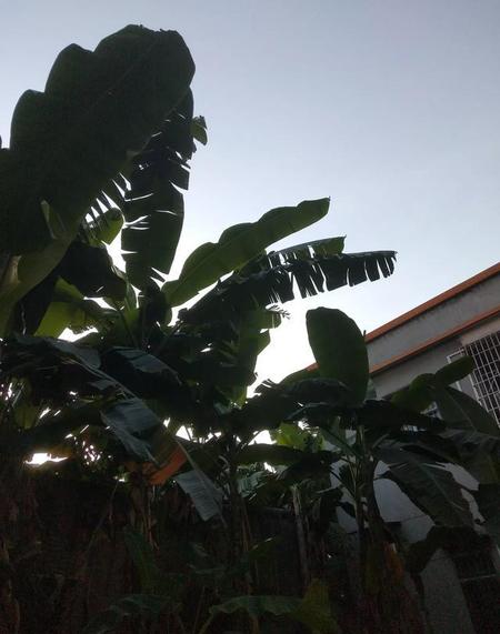 古代女人不能出门