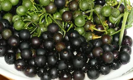 发小和青梅竹马是一个意思吗?(青梅竹马和发小是一个意思吗)