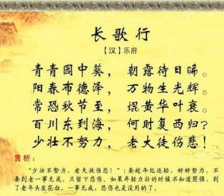 长歌行全诗包括诗意表达的思想感情(短歌行表达了诗人怎样的思想感情)