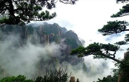 梯子是什么意思(网络用语梯子是什么意思)