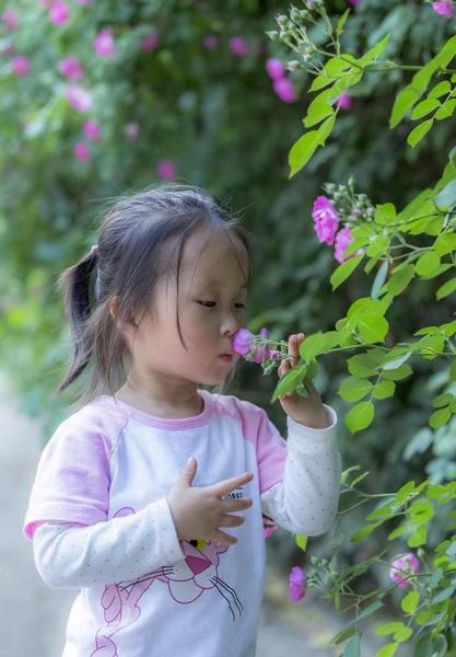 如果你觉得岁月静好(岁月静好因为有人负重前行)