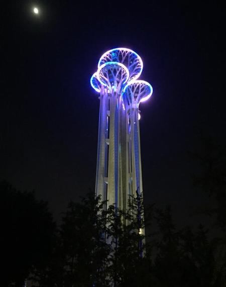 央视大真探怎么看不了(cctv10播出过的节目)