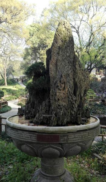 白鹿原白嘉轩为什么对鹿子霖那么好