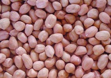 100斤花生米可以榨多少斤花生油(花生油的出油率是40%)