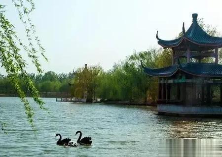 三国何进是谁杀死的(大将军何进与袁绍谋诛宦官,太后不听)