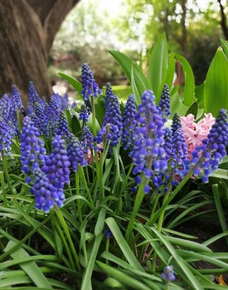 费城在美国的地位(费城是美国第几大城市?)