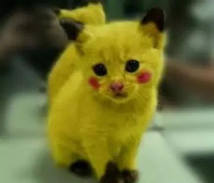 宝玉是贾府的什么人(贾宝玉题大观园)